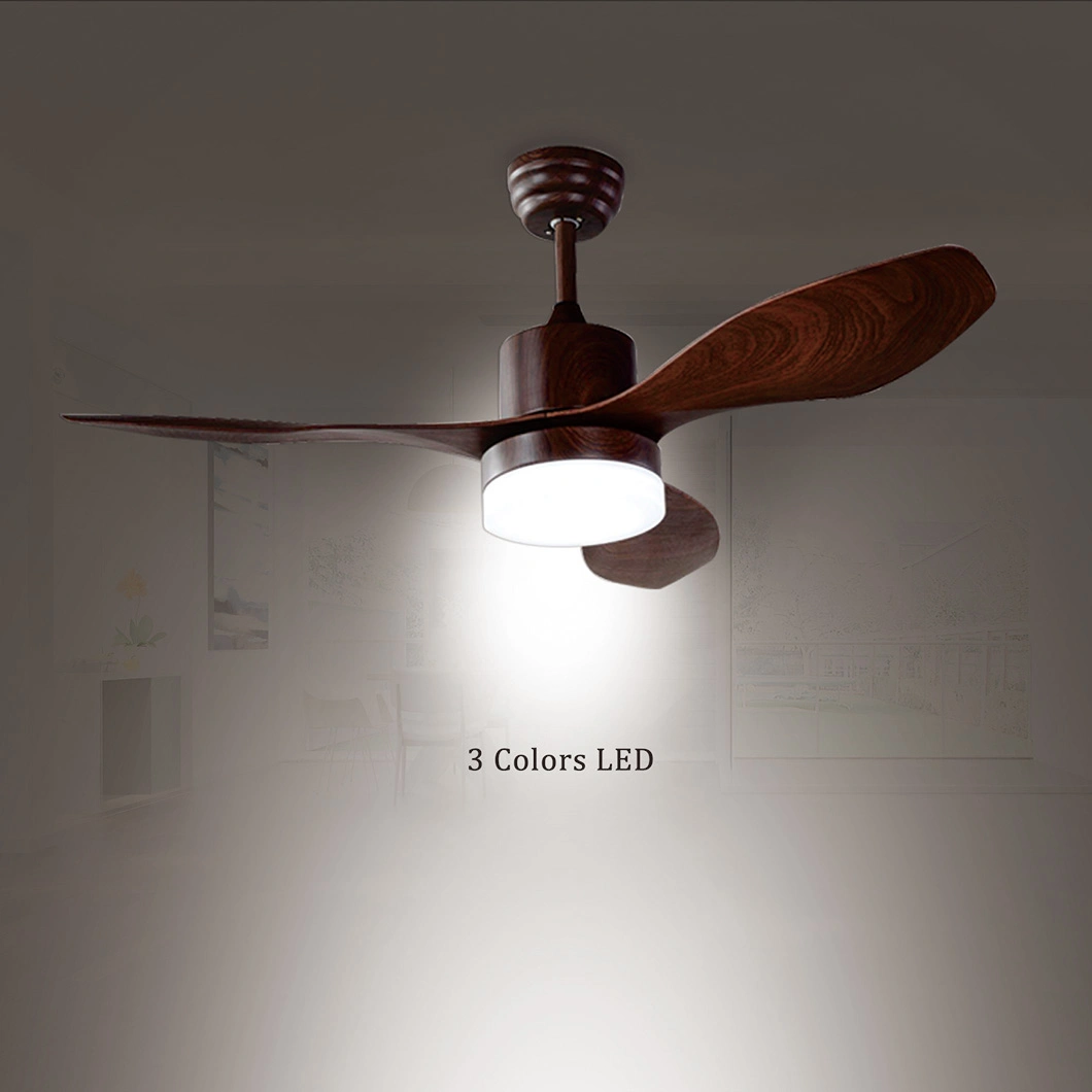 Factory Sale 48 Inch Modern Decorative LED Electric Ceiling Fan with Fancy Light