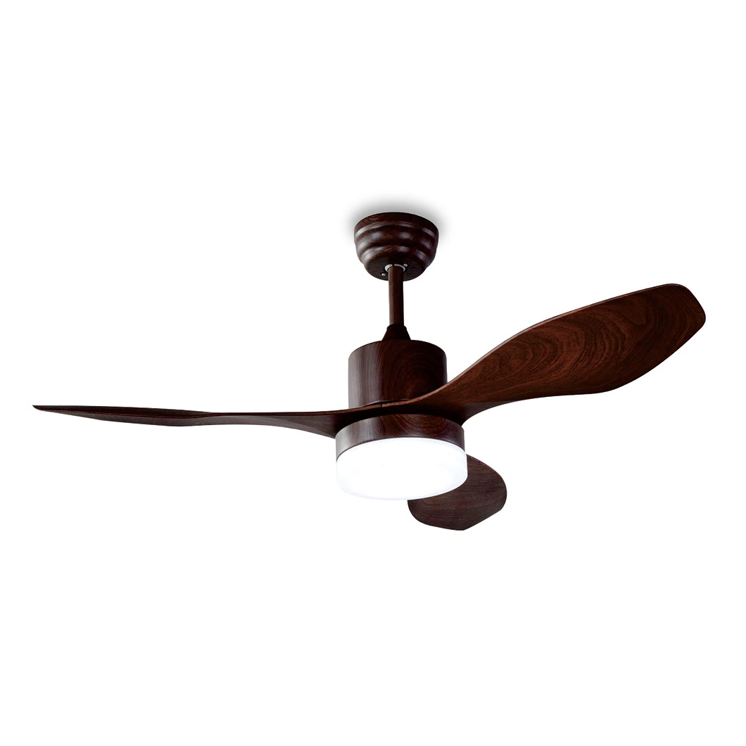 Factory Sale 48 Inch Modern Decorative LED Electric Ceiling Fan with Fancy Light